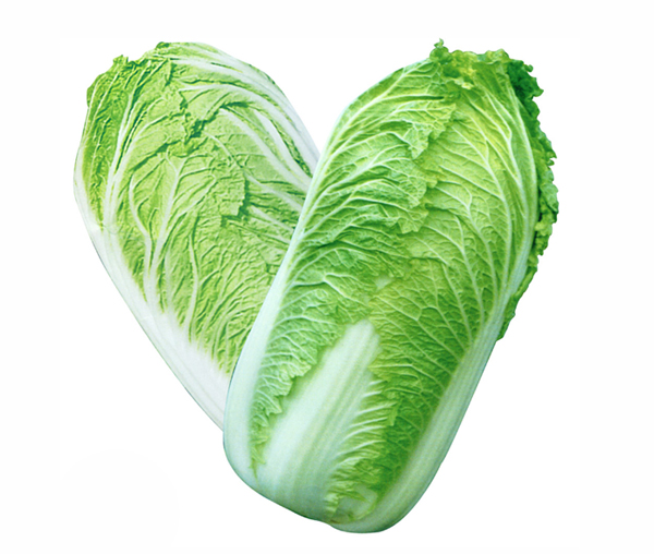 白菜 Chinese Cabbage
