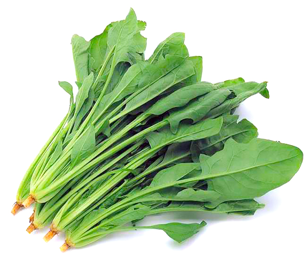 菠菜 Spinach
