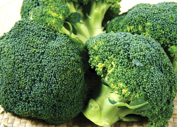 西兰花 Broccoli