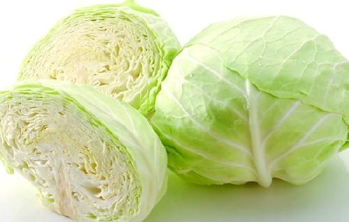 包菜 Round Cabbage