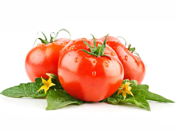 番茄 Tomato