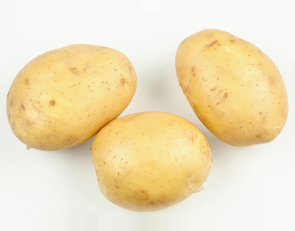 土豆 Potato