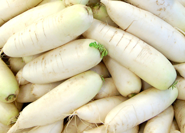 白萝卜 White Radish