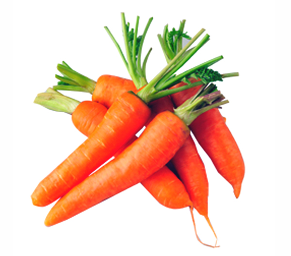 胡萝卜 Carrot