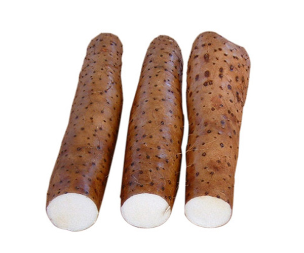 淮山 Chinese Yam