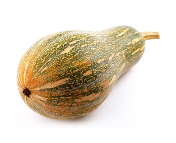 南瓜 Pumpkin