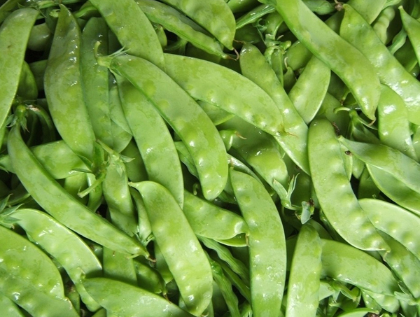 荷兰豆 Chinese Snow Peas