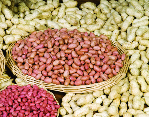 花生 Peanut
