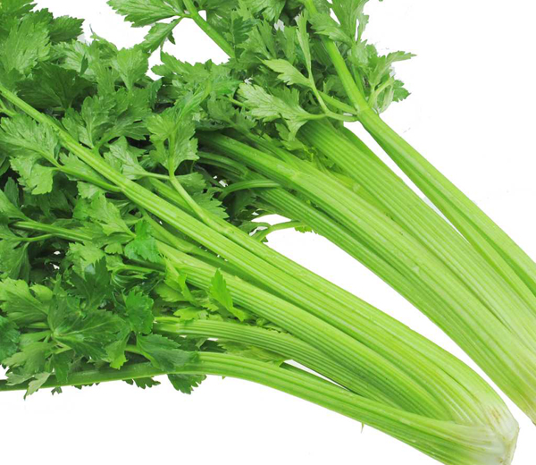 西芹 Celery