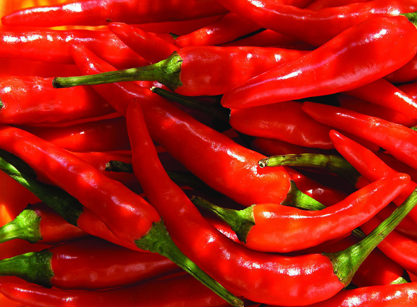 红尖椒 Red Chili(Small)
