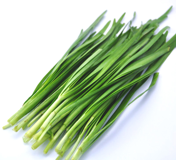 韭菜 Chinese Leek