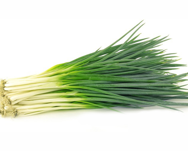 青葱 Spring Onion