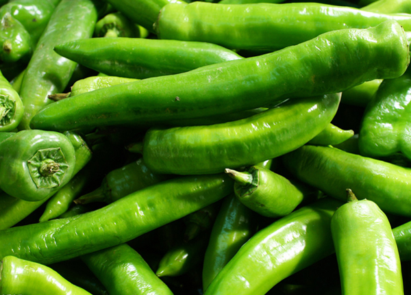 青尖椒 Green Chili(Small)