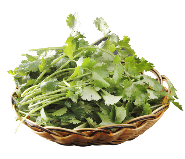 香菜 Parsley/Caraway