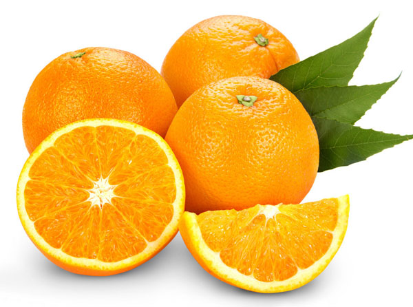 甜橙 Sweet Orange