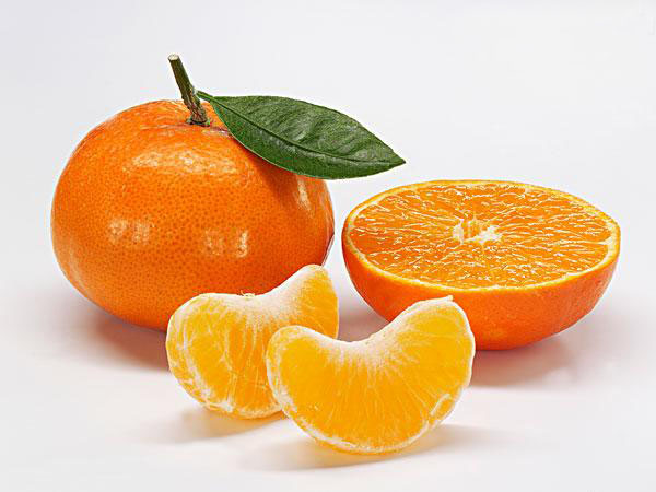 柑橘 Mandarin Orange