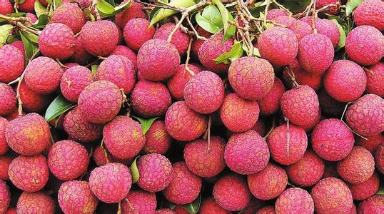 荔枝 Lychee /Litchi