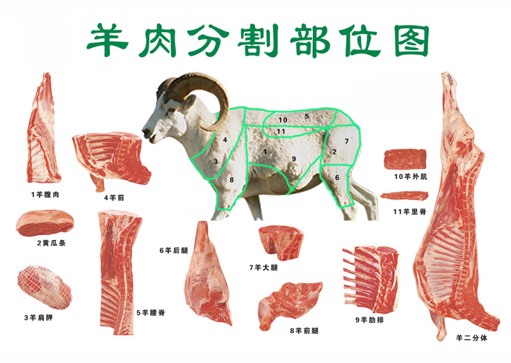 羊肉 Mutton