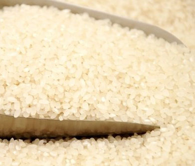 圆大米 Round Rice Grain